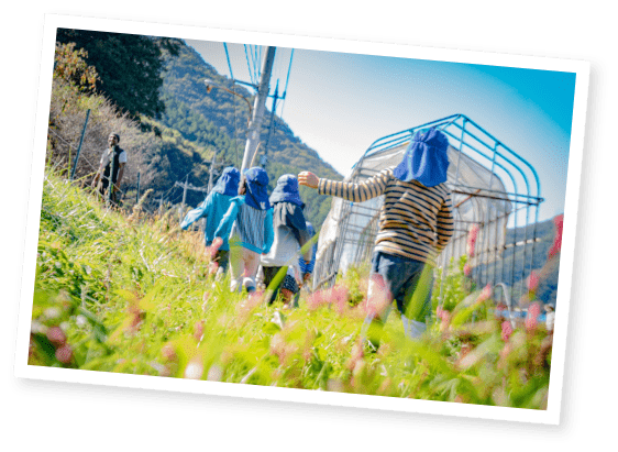 自然共生ホールディングス