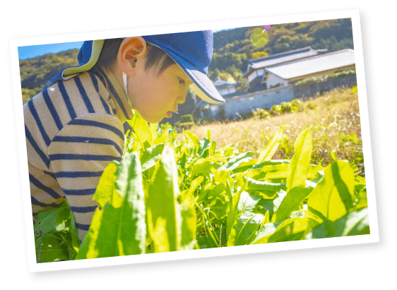 自然共生ホールディングス